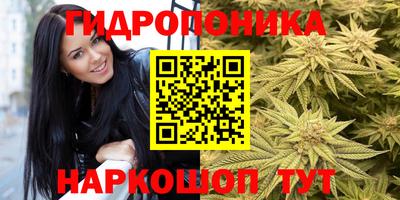 не бодяженный Вышний Волочёк