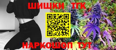 стаф Вязьма