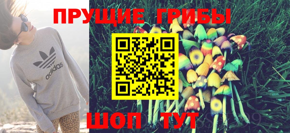 Псилоцибиновые грибы мицелий  Вход с VPN  Сосновоборск  Псилоцибиновые грибы Psilocybe 